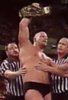 Steve Austin