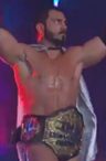 Austin Aries