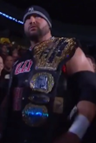 Bully Ray