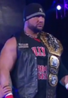 Bully Ray
