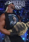 Hollywood Hogan