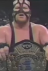 Big Van Vader
