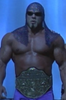Scott Steiner