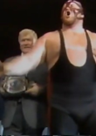 Big Van Vader