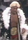 Ric Flair