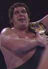 Andre the Giant