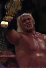 Hulk Hogan