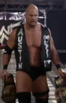 Steve Austin
