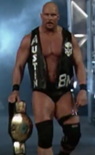 Steve Austin